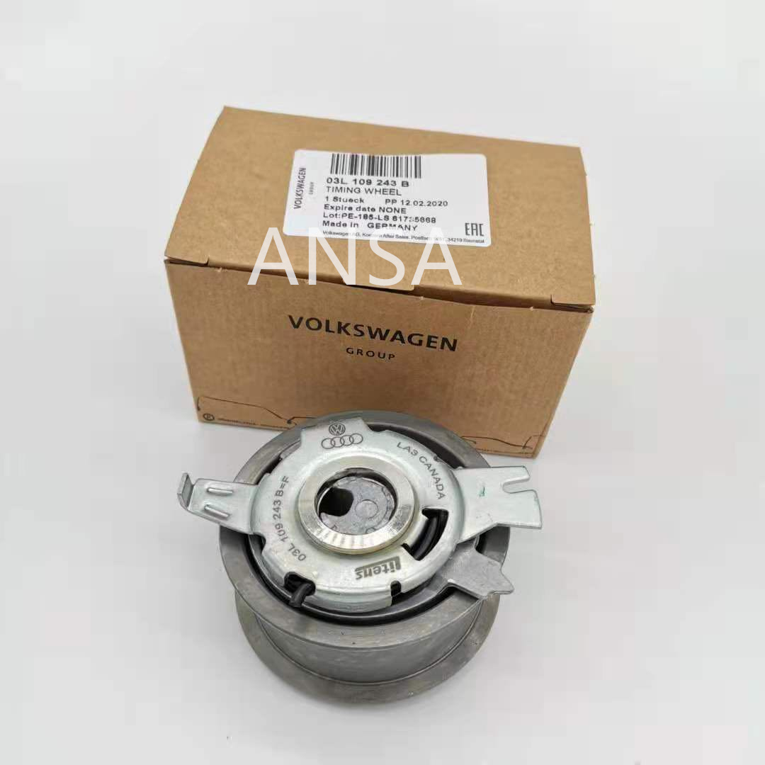 Tensioner Pulley Auto Bearing Auto Spare Parts for Audi Seat VW Skoda Vkm11269 03L109243b